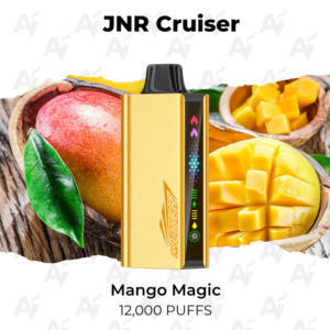 JNR Cruiser 12000 Puffs