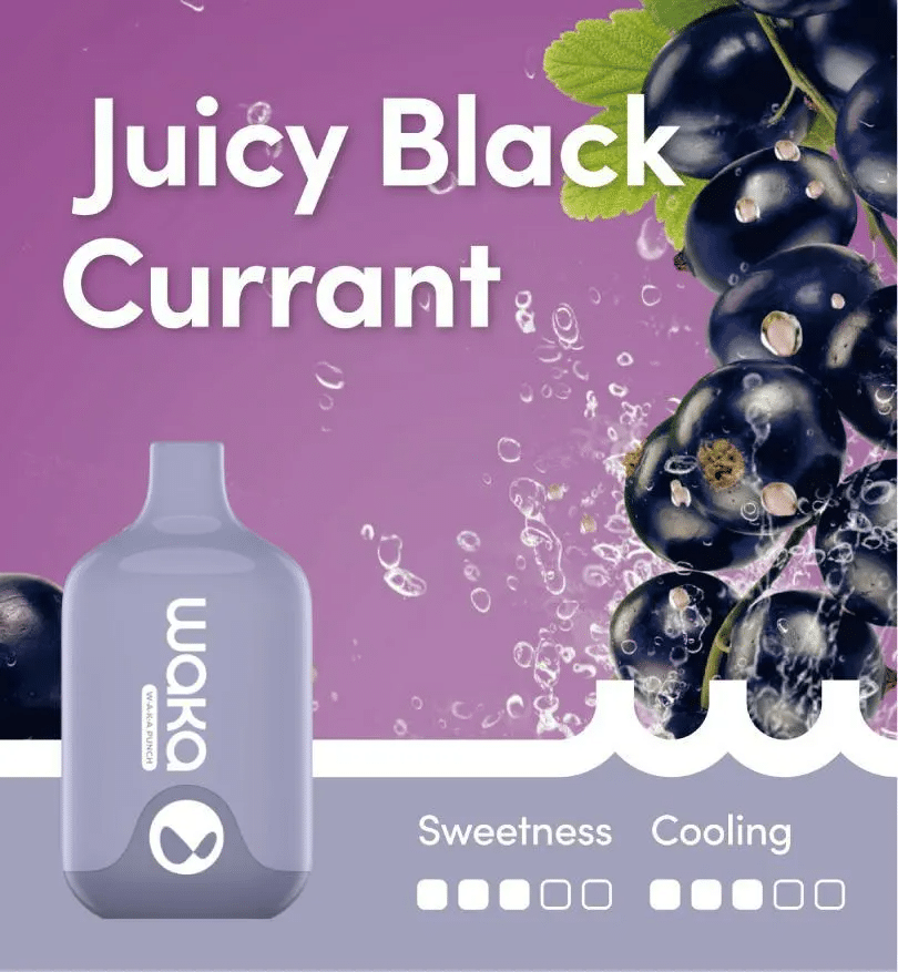 Waka Smash Juicy Black Currant 6000 Puffs