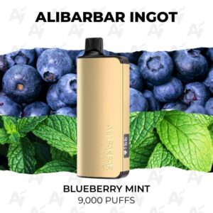 Alibarbar Ingot Blueberry Mint 9000 Puffs
