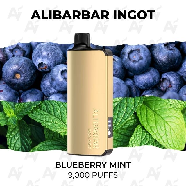 Alibarbar Ingot Blueberry Mint 9000 Puffs