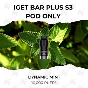 IGET Bar Plus S3 Pods Dynamic Mint 10000 Puffs