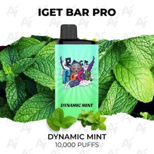 IGET Bar Pro Dynamic Mint 10000 Puffs